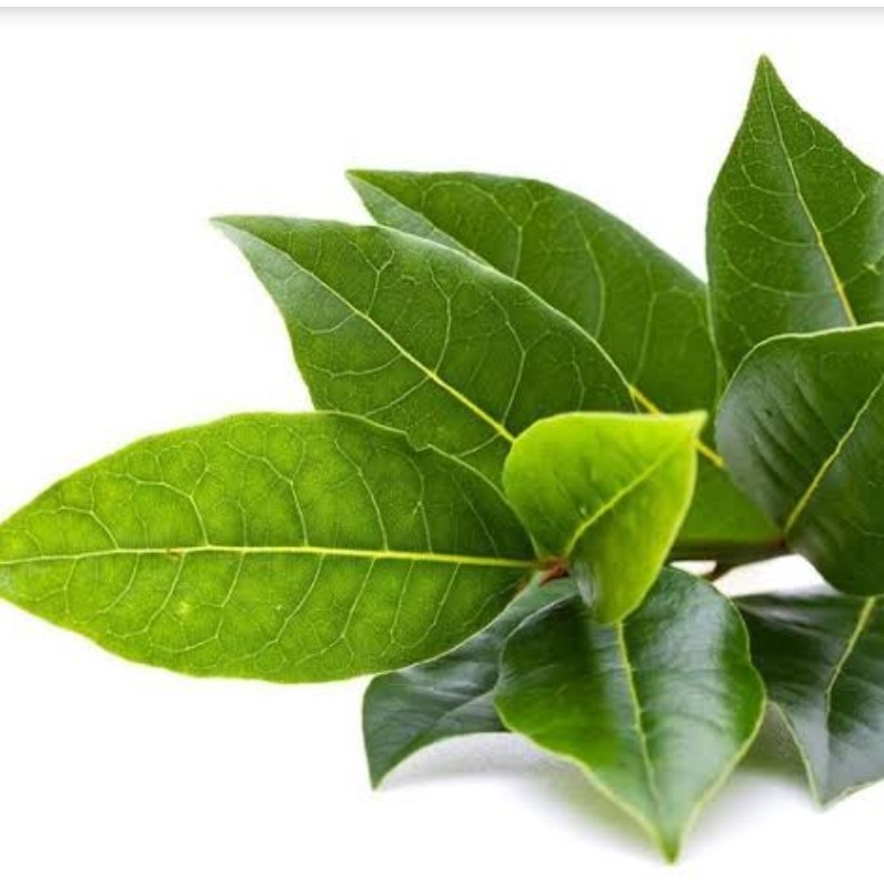 Daun Salam 1 Pack - 25 gr