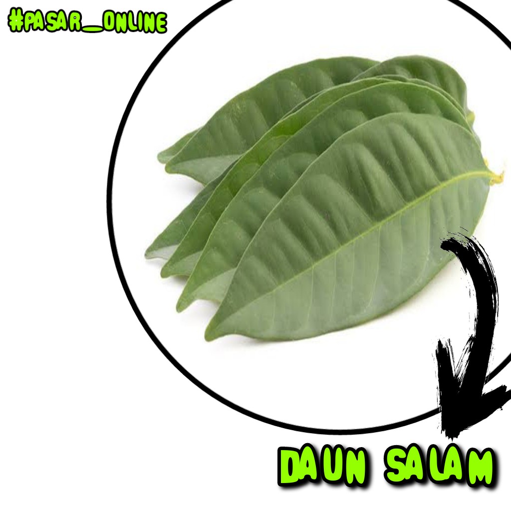 Daun Salam Per Ikat