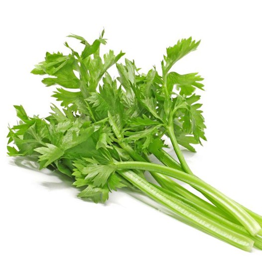 Daun Seledri