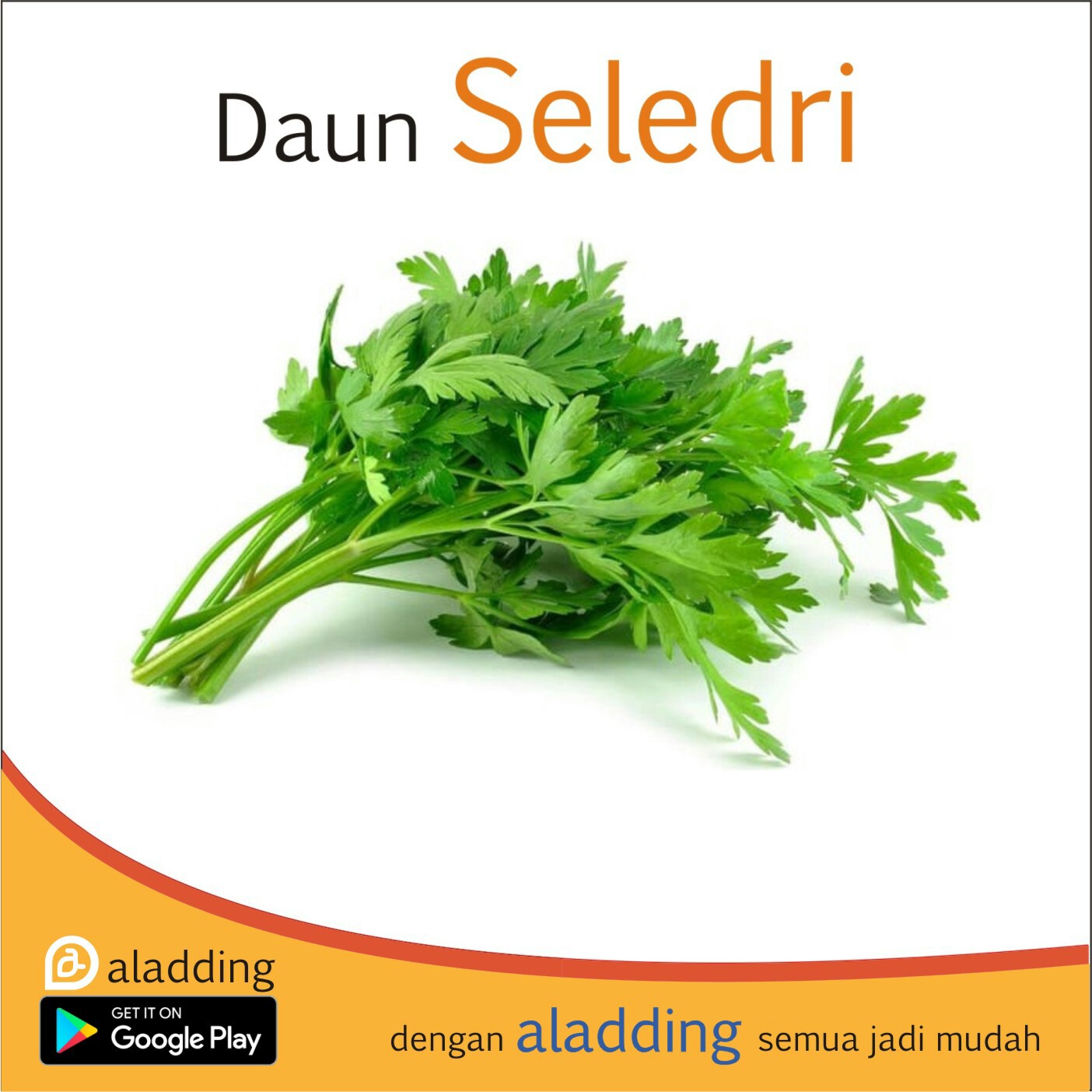 Daun Seledri 1 Ikat