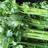 Daun Seledri 1 Ons