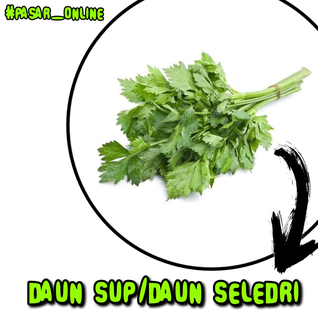 Daun Seledri Per Ikat