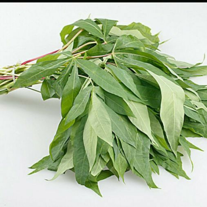 Daun Singkong
