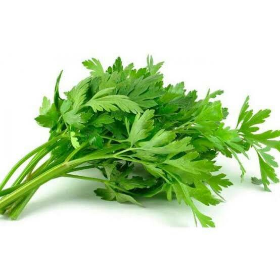 Daun Sup