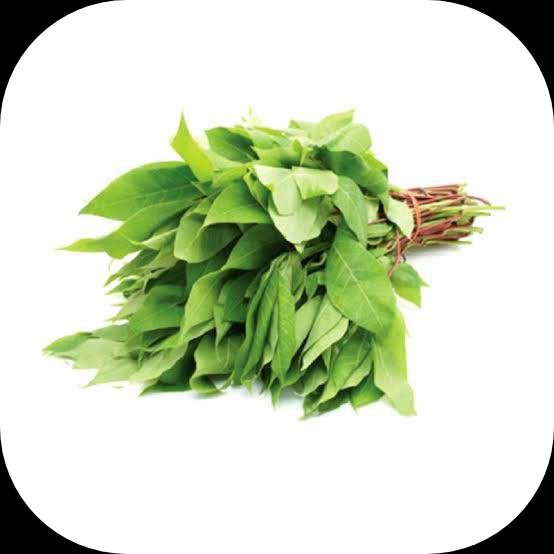 Daun Ubi