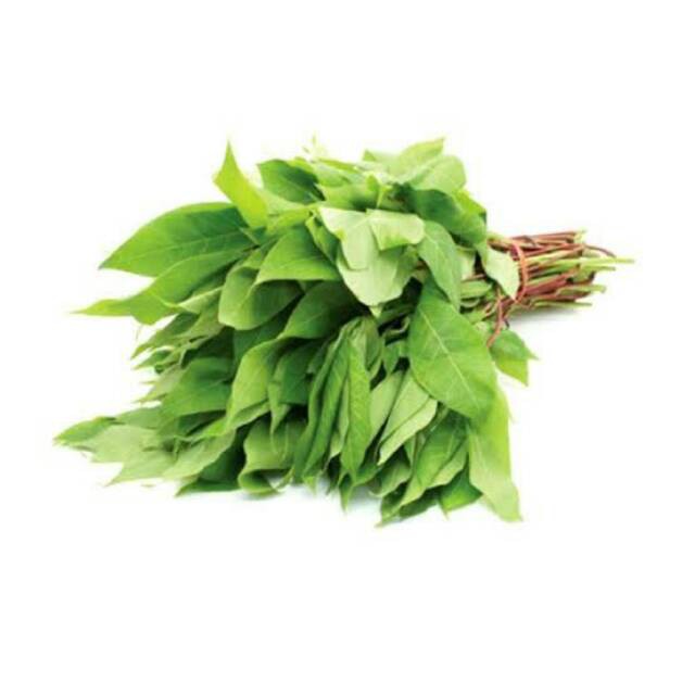 Daun Ubi