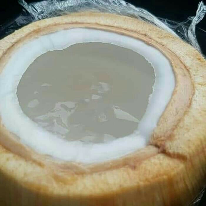 Degan Jelly Original