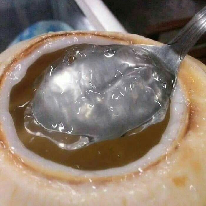Degan Jelly Original 2