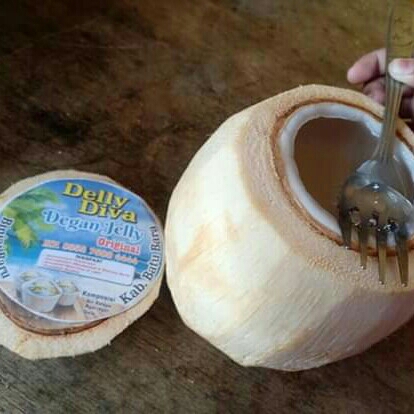 Degan Jelly Original 4
