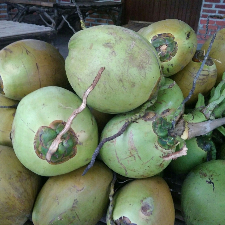 Degan Murni 