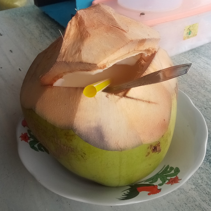 Degan Murni Tanpa Es