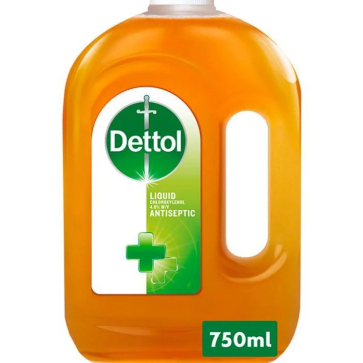 Detol Liquid 