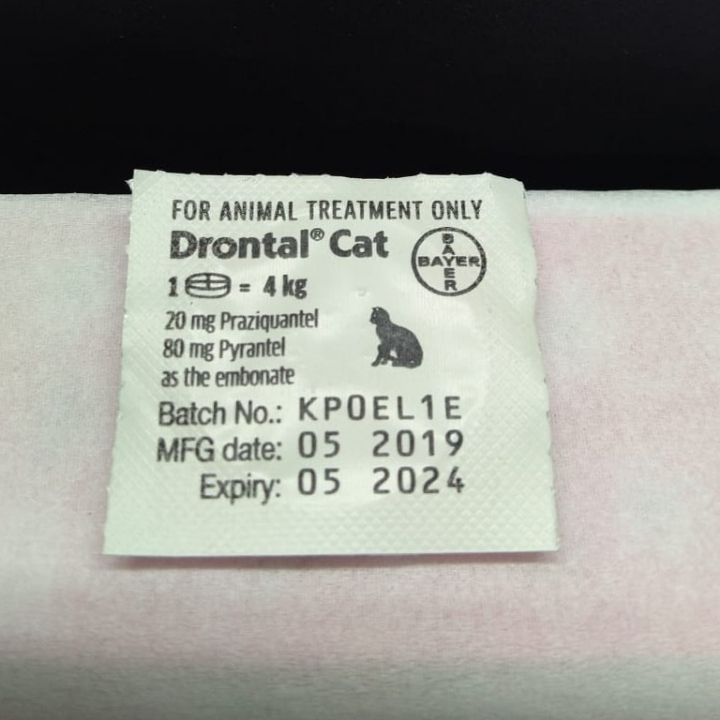 Drontal