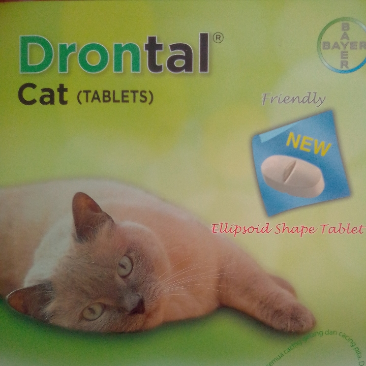 Drontal Cat