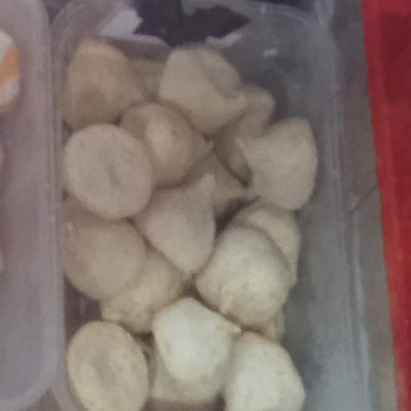 Dumpling Ayam