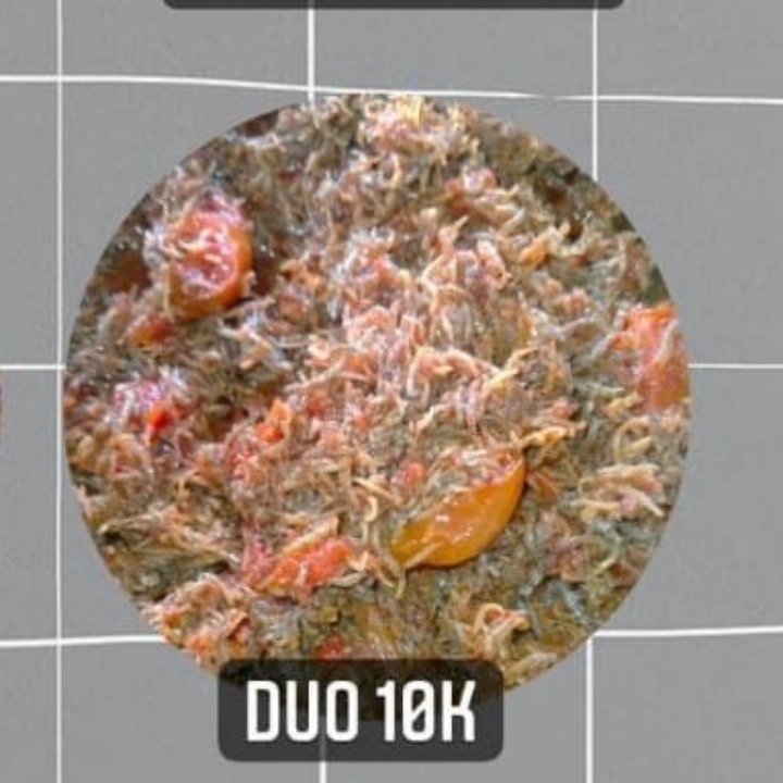 Duo Basah Dan Kering