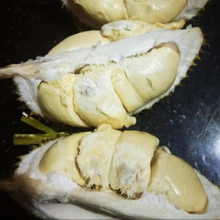 Durian Lokal