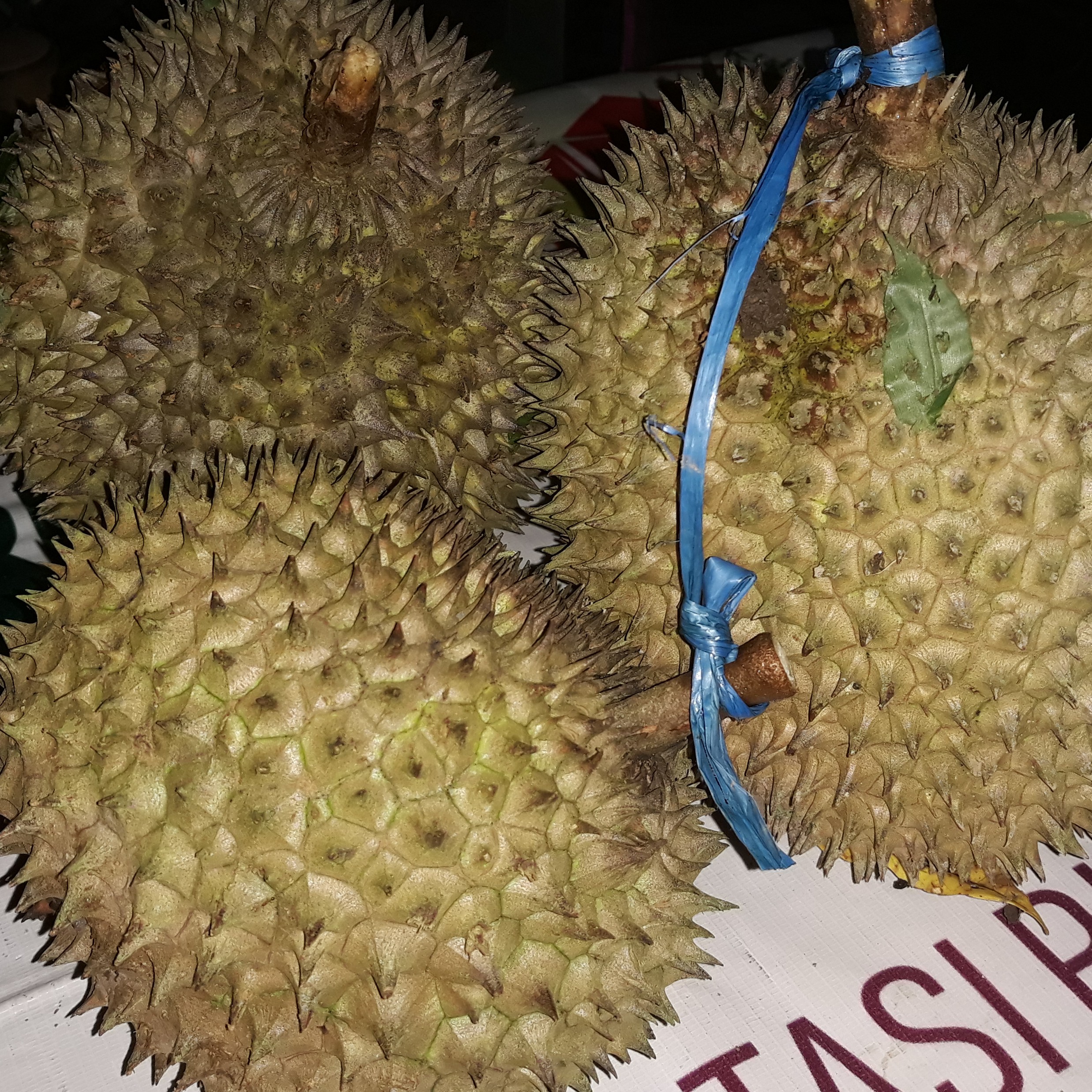 Durian Mbaon Super