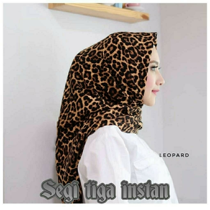 EDO JB 024 Leopard