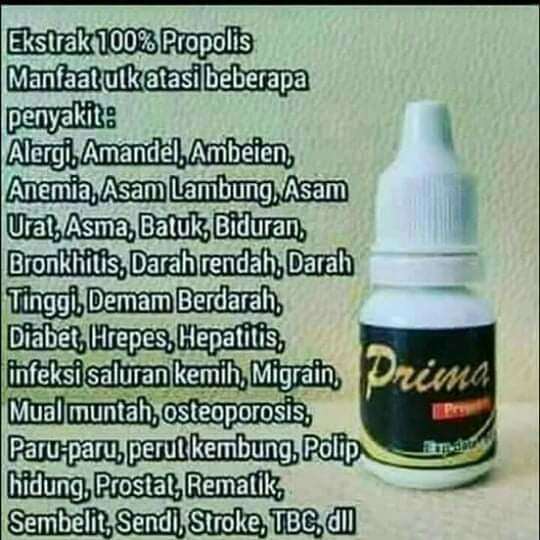 ELPRIMA PROPOLIS MSI 2