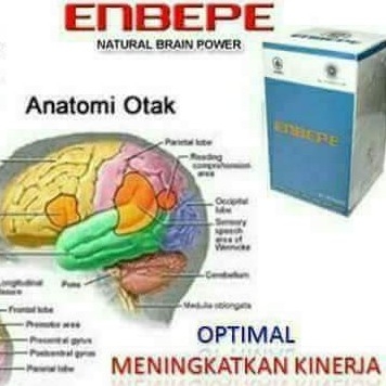 ENBEPE Suplemen Untuk Kecerdasan Otak Anak dan dewasa