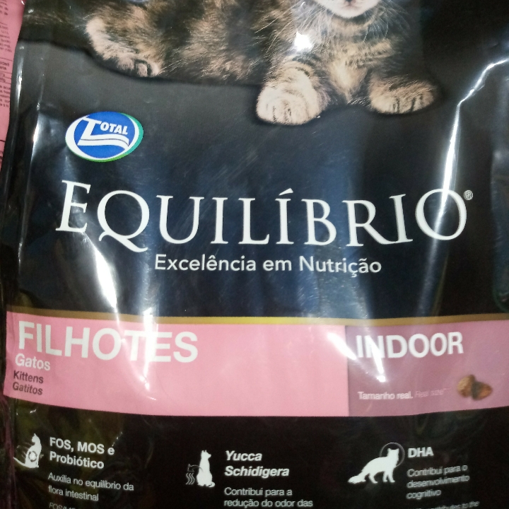 EQuilibrio Kitten