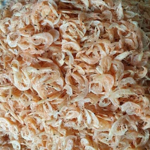 Ebi Rebon Udang Kering