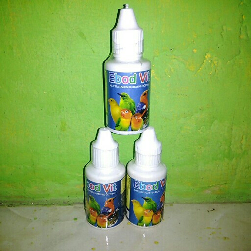 Ebod Vit