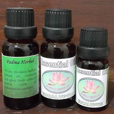 Ecalyptus Essential Oil