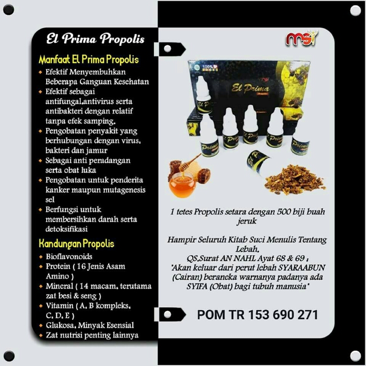 El Prima Propolis MSI