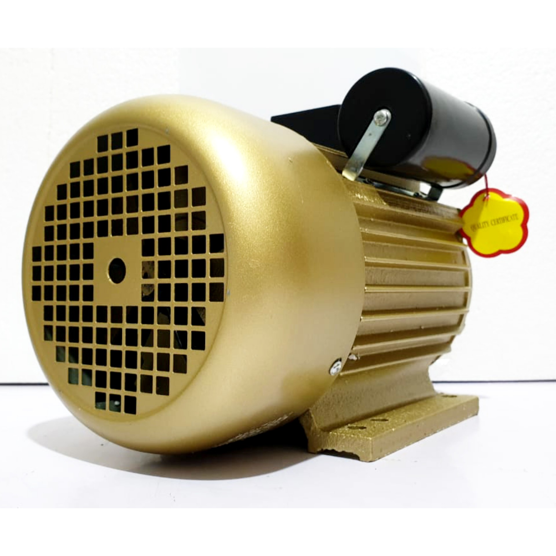 Electro Motor Wipro YC90L1-4 3