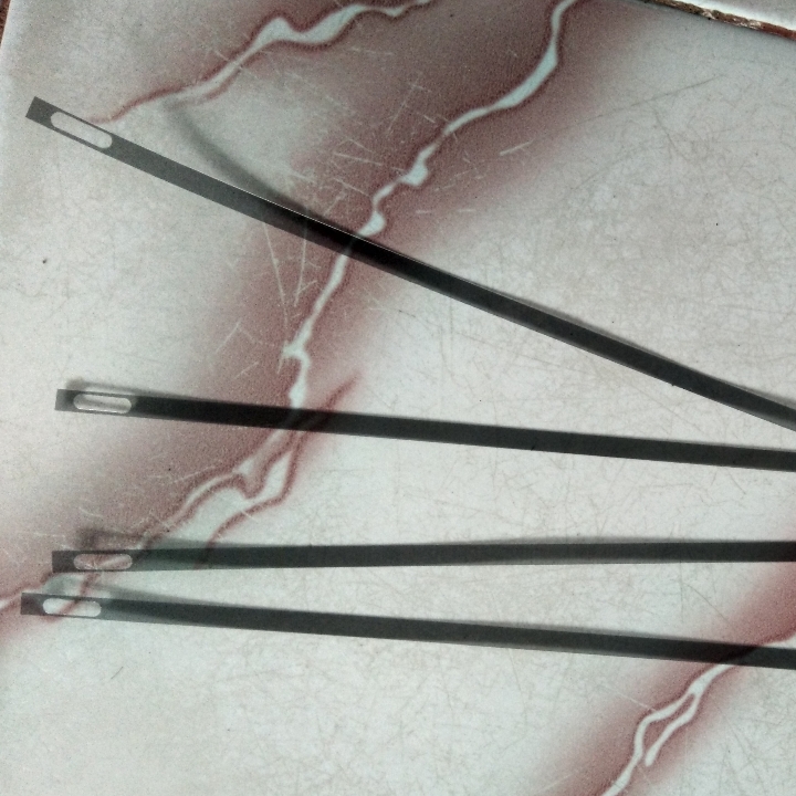 Encorder Strip Printer Epson