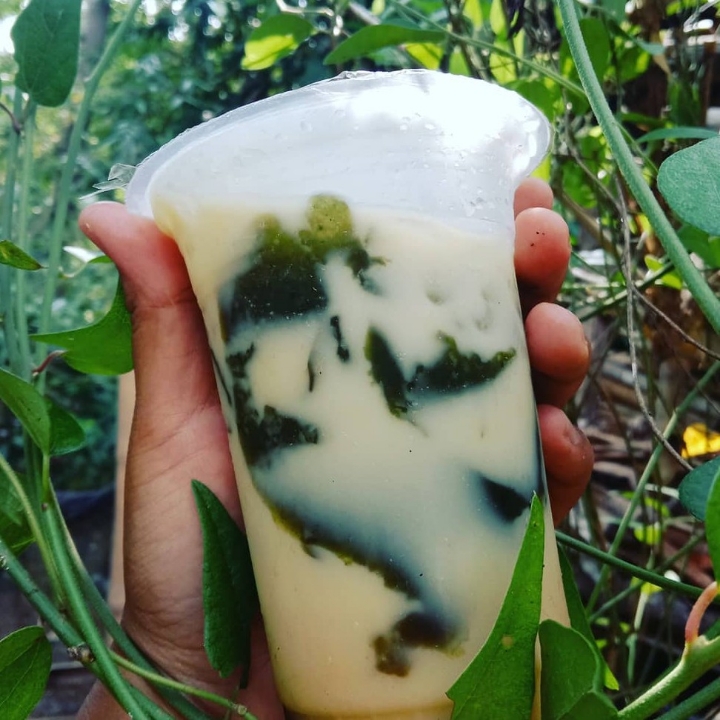Es Cincau Hijau