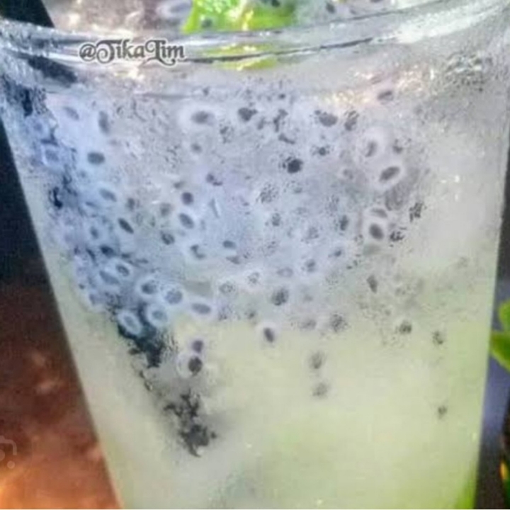 Es Lidah Buaya Marjan