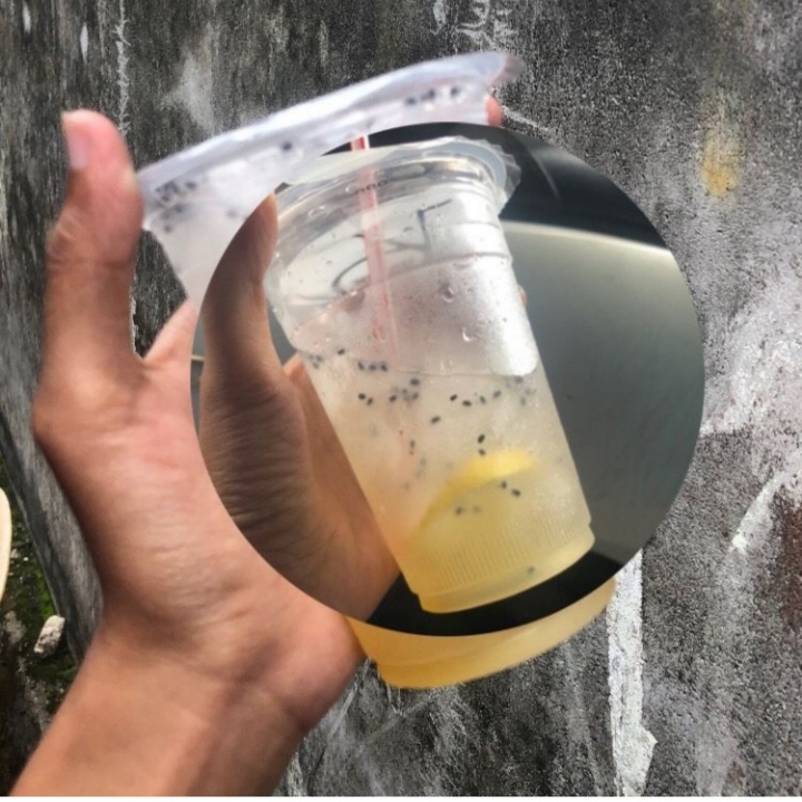 Es Mojito