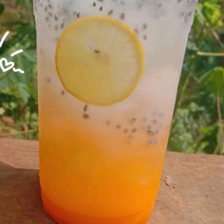 Es Mojito Rasa Jeruk Florida