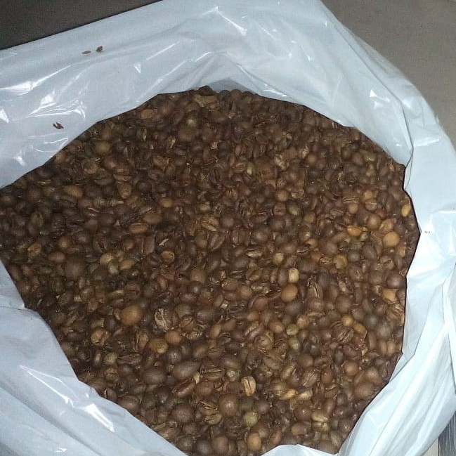 Excelsa | Osco Coffee