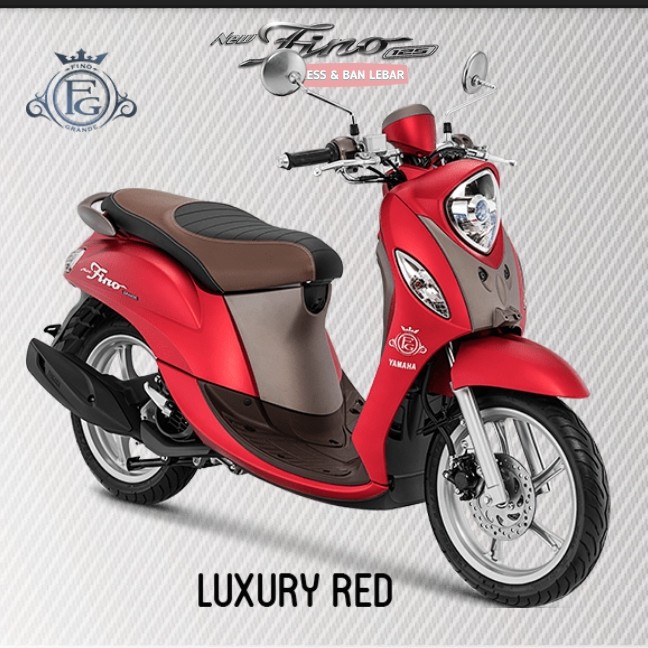 FINO 125 GRANDE 2