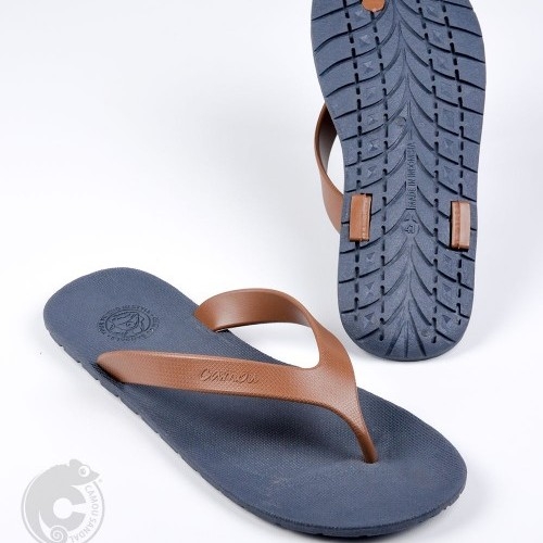 FLIPFLOPS WR variant Navy Blue