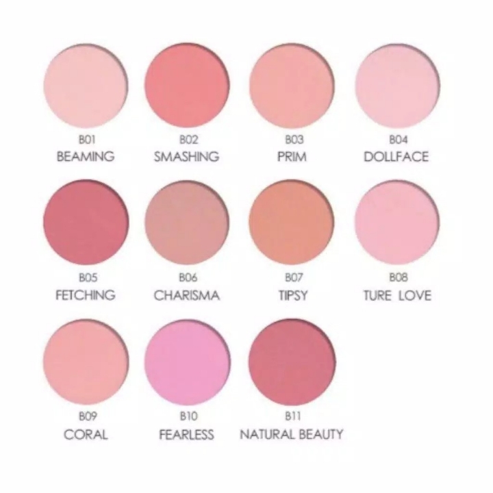 FOCALLURE COLOR MIX 11 Colors Face Mineral Pigment Blusher Blush Powde 2