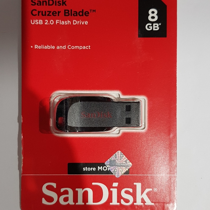 Flasdisk Sandisk