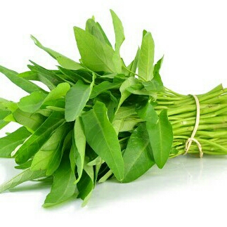 kangkung