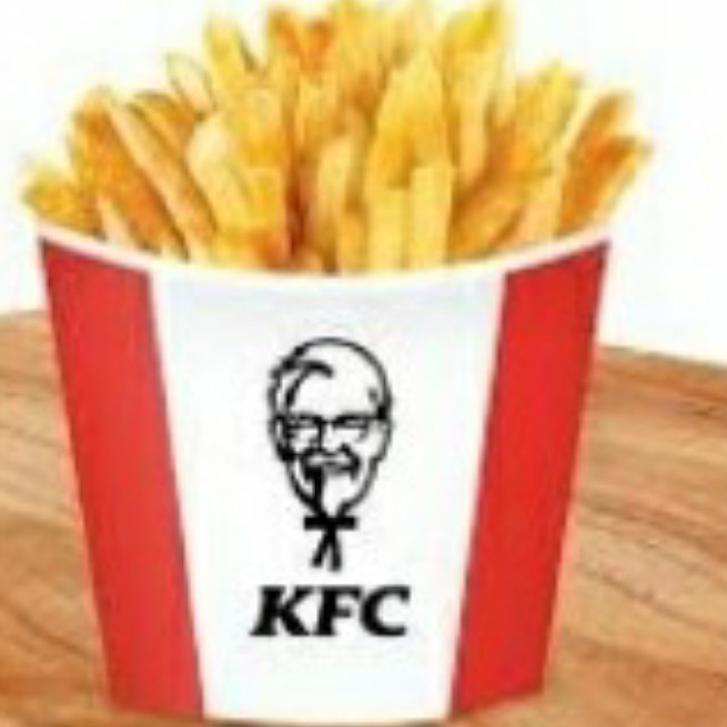 French Fries Large