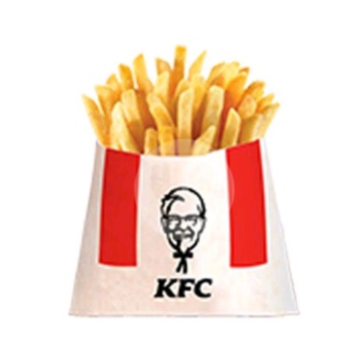 French Fries Reguler
