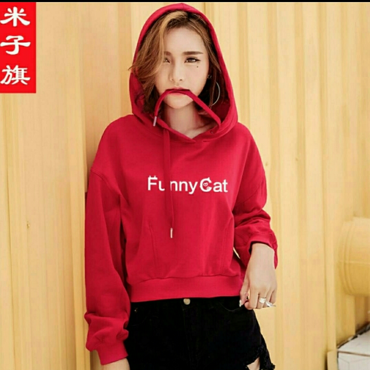 Funny Cat
