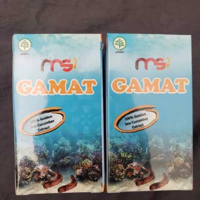 GAMAT TERIPANG EMAS