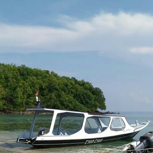 GLASS BOTTOM BOAT