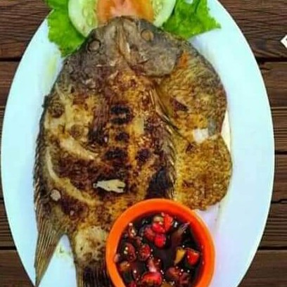 GURAMEH 2