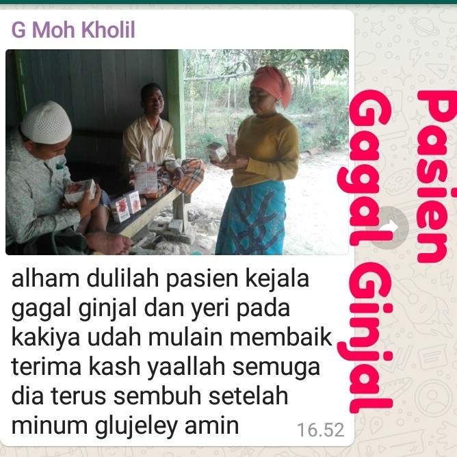 Gagal Ginjal