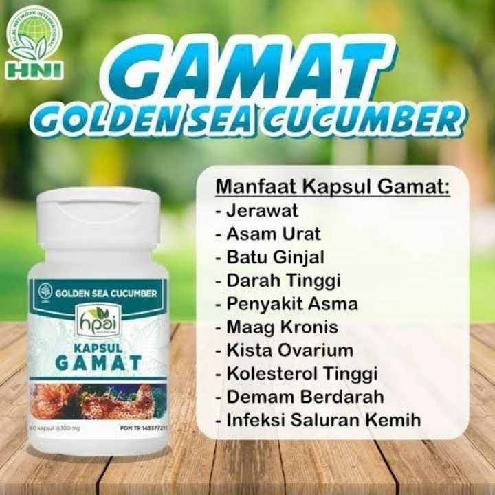Gamat Kapsul Herba Nyeri Sendi 2
